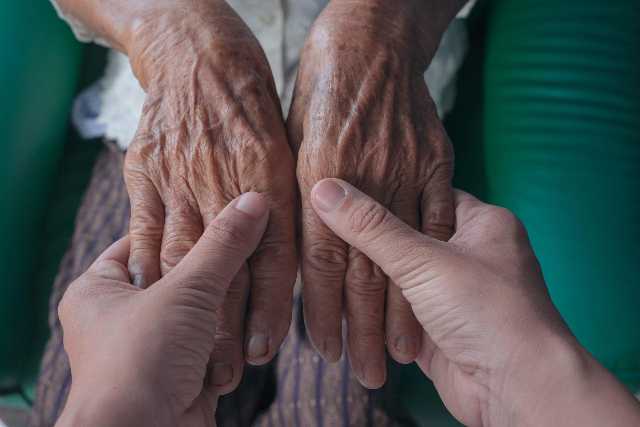 Fafe dedica seminário ao envelhecimento com dignidade