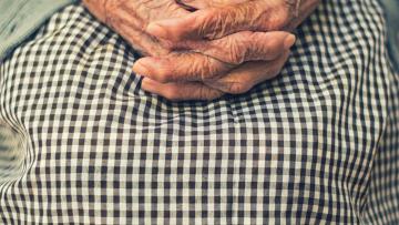JMJ: Voluntários levam Jornada a 600 instituições de Lisboa, Setúbal e Santarém