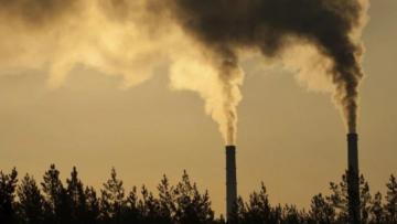 Quase 40% das empresas destinam menos de 25% das despesas à descarbonização