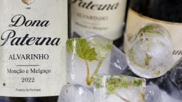 Vinho de Melgaço acumula mais prémios e pode provar na Feira do Alvarinho de Monção