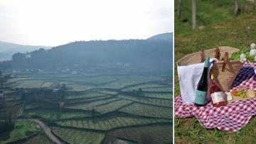 Quintas de Melgaço com agenda reforçada durante o verão