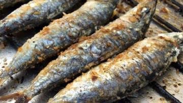 Arranca hoje a festa do mar e da sardinha em Vila Praia de Âncora