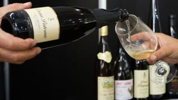 Espumante rosé de Melgaço ganha prémio internacional