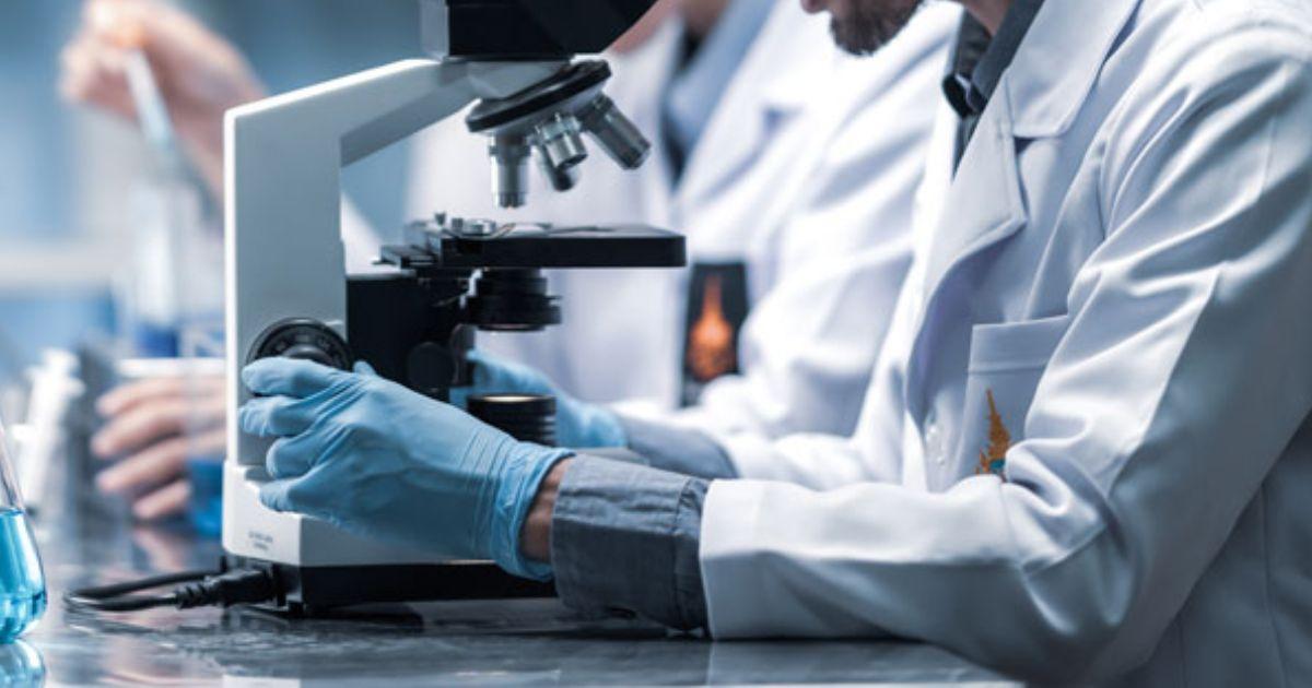 Novo biomaterial regenera cartilagem nas articulações