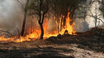 PJ deteve suspeito de dois fogos em Barcelos