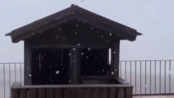 Já começou a nevar na Galiza e na Serra da Estrela