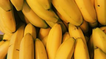 Alegados mentores de importação de 'fruta com cocaína' apreendida em Barcelos em silêncio no tribunal