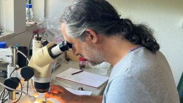 Investigador da UMinho descobre nova espécie marinha