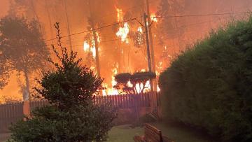 Incêndios: Casas a arder em Albergaria-a-Velha