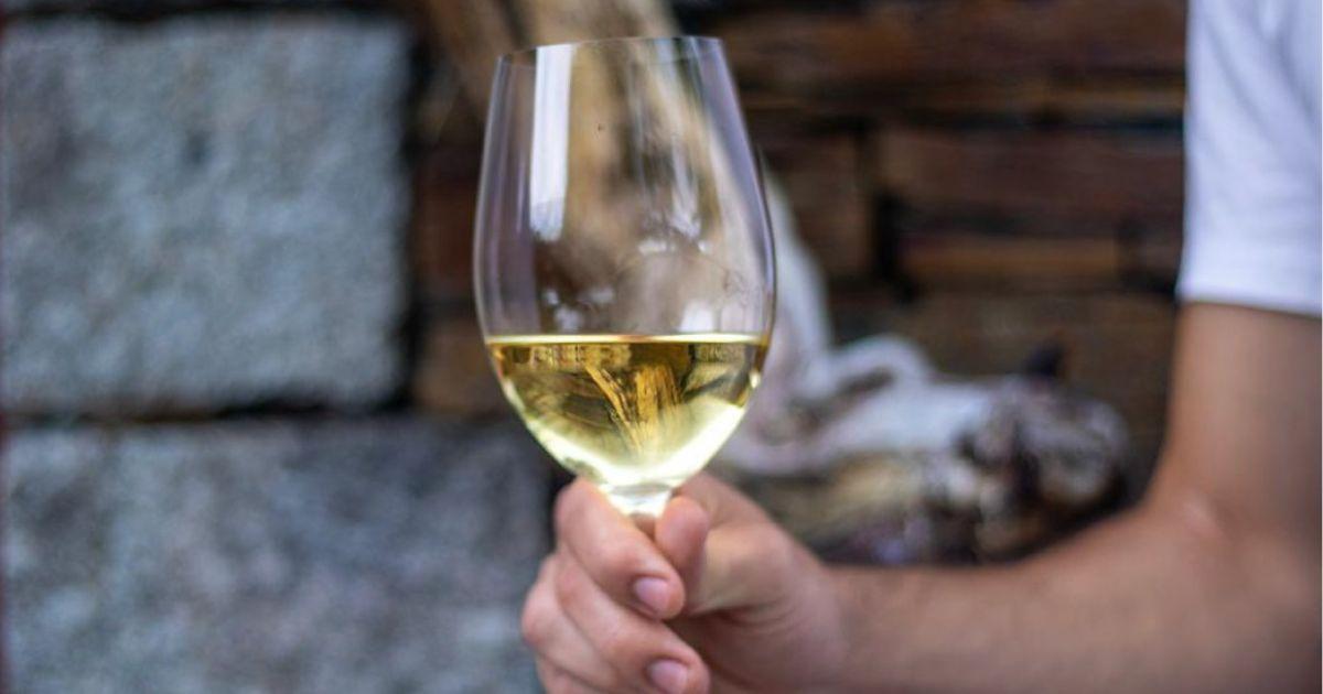 Ponte de Lima recebe Festa do Vinho Verde em junho