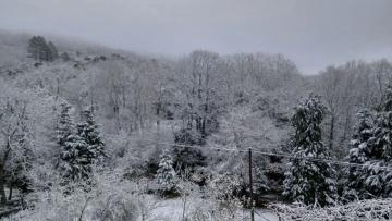 Neve 'pinta' a paisagem de Castro Laboreiro