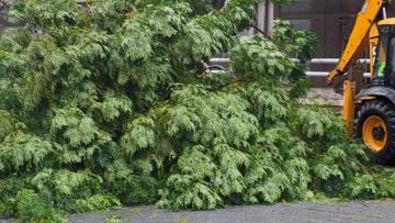 Centros de saúde sem luz e queda de mais de cem árvores na região do Ave