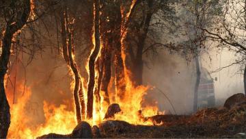 Mais de 160 concelhos de 17 distritos do continente em perigo máximo de incêndio