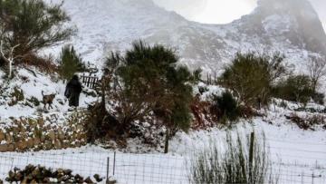 Braga e Viana sob aviso amarelo devido à queda de neve