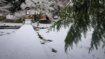 Primeiro nevão da temporada no Gerês pode ocorrer nos próximos dias