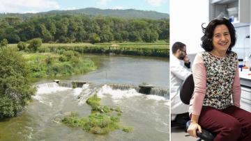 Estudo da UMinho mostra impacto humano no aumento de gases de efeito estufa nos rios