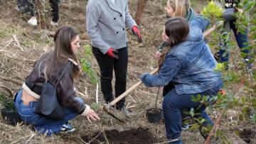 300 novas árvores são plantadas no Monte do Picoto