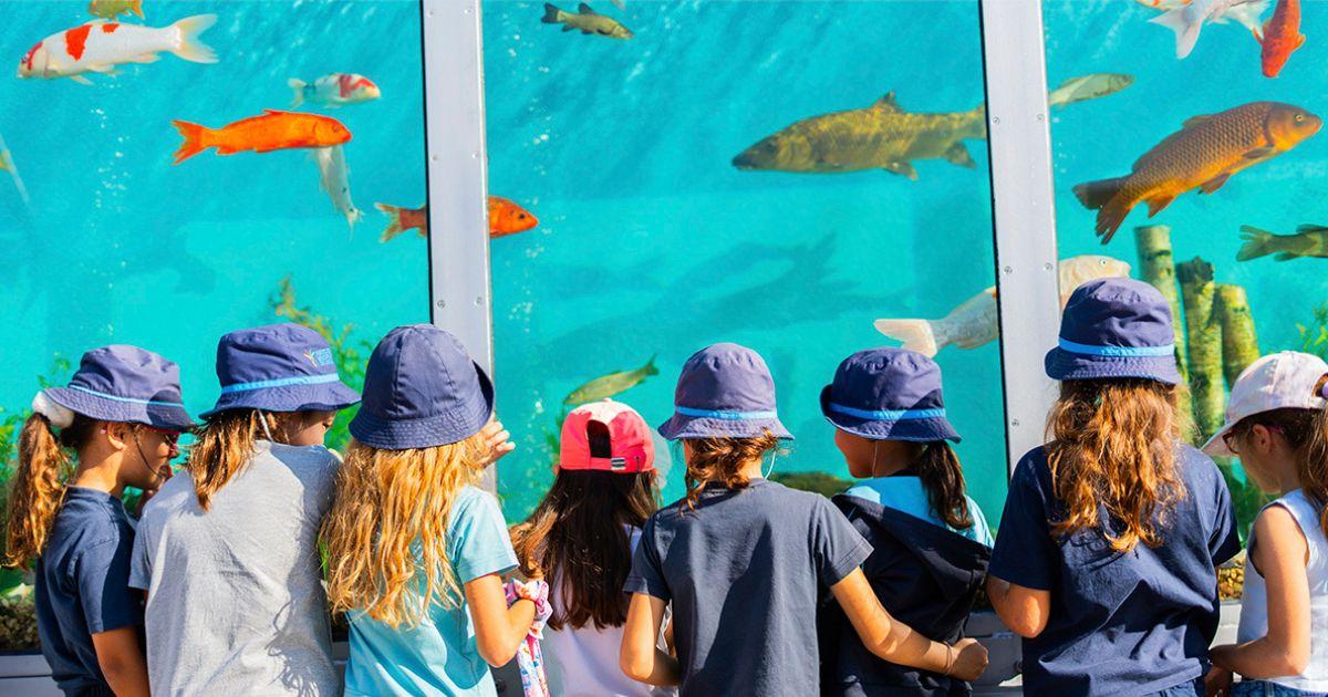 Famalicão recebe o maior aquário móvel da Europa