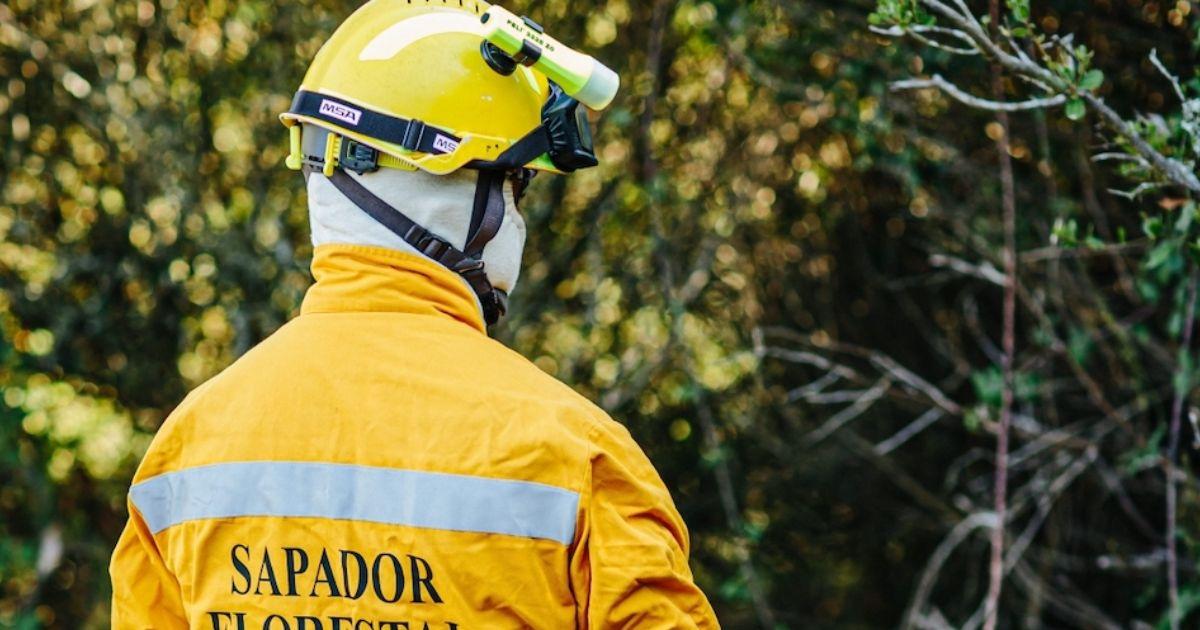 Quatro sapadores florestais de Cabeceiras de Basto feridos após despiste