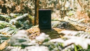 Extremo regressa a Braga em julho com Alessandro Cortini, Joana de Sá e Shane Parish