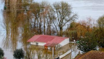 Papa apela à solidariedade para com os afetados pelas tempestades