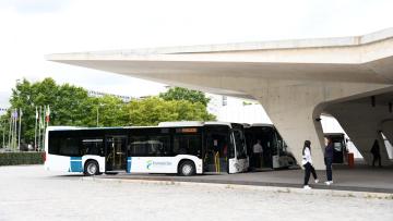 Famalicenses têm a partir de hoje 49 linhas de transporte público rodoviário disponíveis