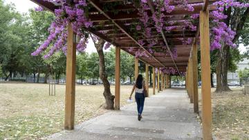 Famalicão reforça policiamento no Parque da Juventude e proíbe circulação de trotinetes