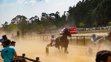 35.ª Corrida de Cavalos a Galope e Trote Atrelado reuniu centenas de aficionados