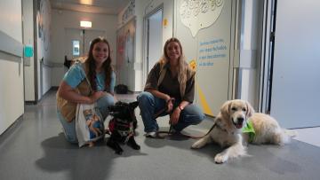 No Dia do Cão, foram eles a levar alegria às crianças internadas no Hospital de Braga