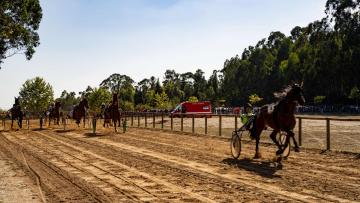 Celorico de Basto recebe a última prova do campeonato nacional de galope e trote atrelado