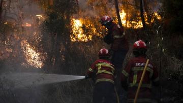 Arcos de Valdevez é o concelho do país com mais incêndios e maior área queimada