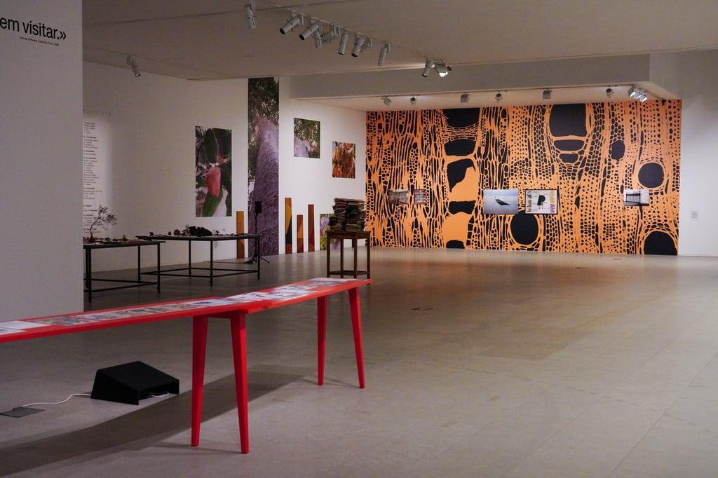 Centro das Artes José de Guimarães em diálogo com Governo por novo modelo de apoio direto