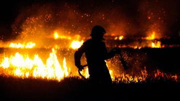 Cávado vai investir 88 ME na prevenção e combate aos incêndios rurais até 2030