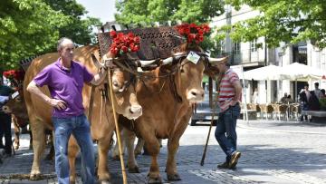 Feiras Francas de Fafe regressam em maio  com programa diversificado