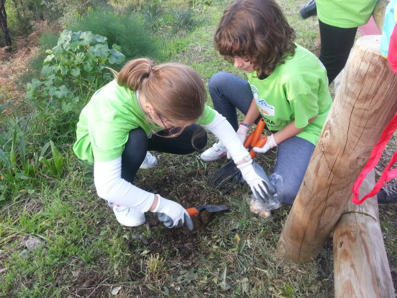 Braga aposta na sensibilização ambiental