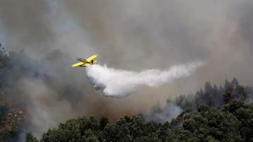 Seca, incêndios e subida da temperatura são os piores factos do ano para a Quercus