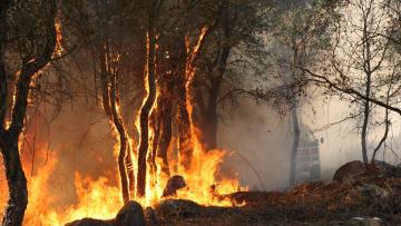 Trinta e oito concelhos de oito distritos em perigo máximo de incêndio