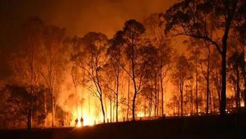 Alto Minho teve a terceira maior área queimada do país pelos fogos rurais de 2025