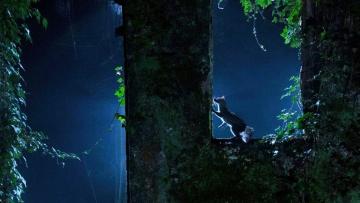 Concurso "Braga Natural" está de volta com um primeiro prémio de 600 euros
