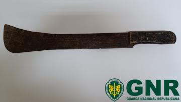 Dois homens detidos por roubo em Vizela