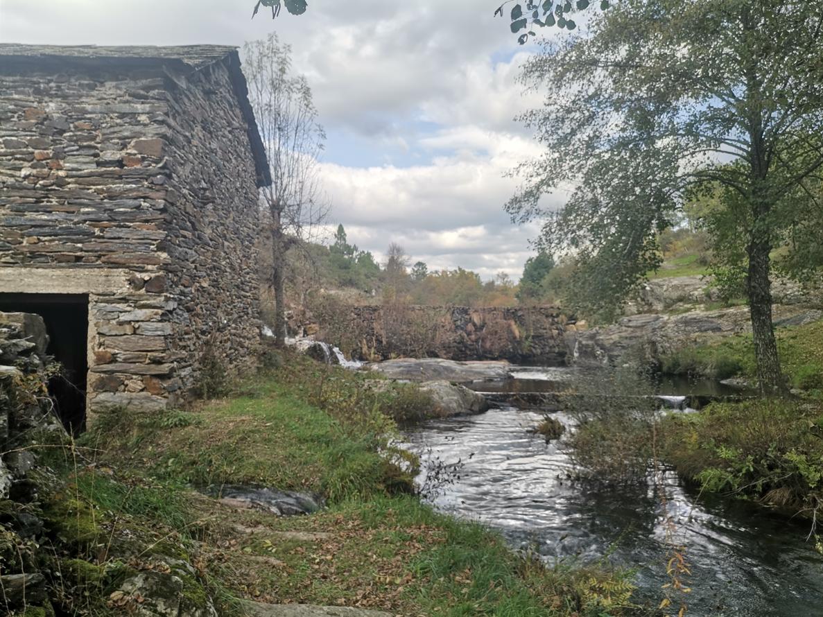 PORTUGALNTN implementou trilho mais popular de Castela e Leão