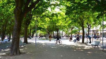 Guimarães lança inquérito para descobrir hábitos ambientais dos munícipes