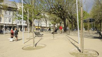 Ave com acesso a apoios de 12 milhões à área social