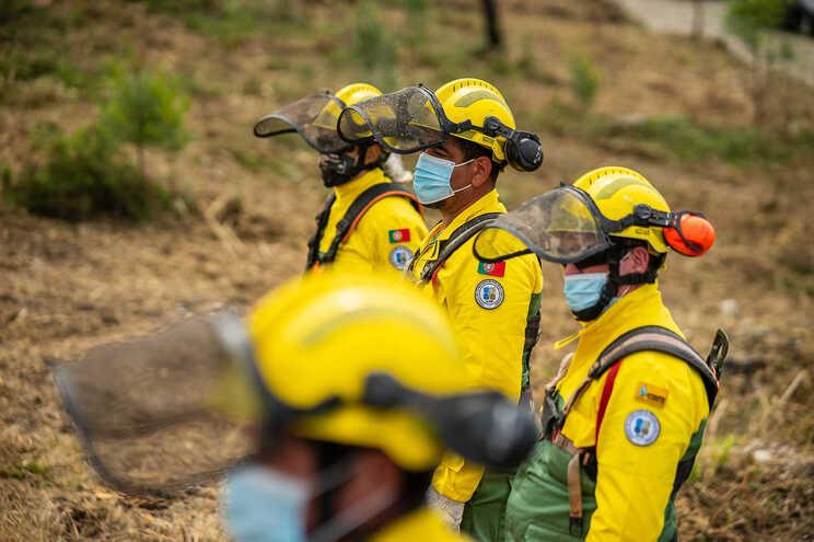 Sapadores Florestais do Alto Minho recebem135 motorroçadoras