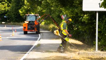 Guimarães avança com limpeza contra incêndios rurais