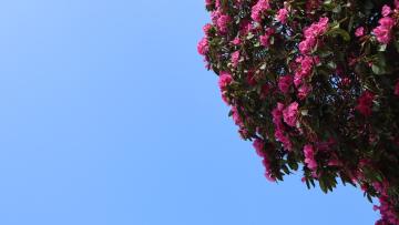 Tempo. Sexta-feira de calor e sol