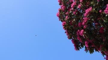 Tempo. Sol mantém-se esta terça-feira, mas temperatura desce