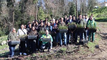 Município e Confraria do Bom Jesus plantam  600 árvores com apoio dos alunos da Profitecla