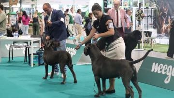Paixão pelos animais dita sucesso da Expoanimal com 20 mil visitantes