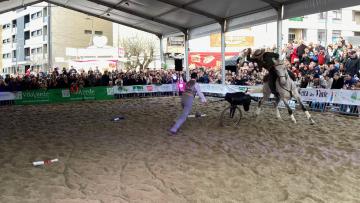 Junta de Freguesia de Prado quer manter Festival do Garrano na Feira dos Vinte